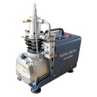 YONG HENG 4500PSI Air Compressor 110V PCP 30 MPa High Pressure System Rifle Inflator PCP Rifle Airgun Scuba Air Pump Portable Air Compressors (Simple Version)