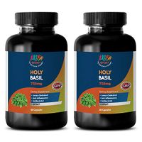 Cholesterol Diet Plan - HOLY Basil Extract 750MG - Dietary Supplement - holy Basil Complex - 2 Bottles (120 Capsules)