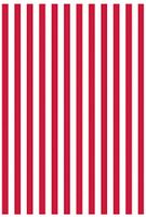 Amscan Classic Stripe Jumbo Gift Wrap Party Supply, Red, 16' x 30"