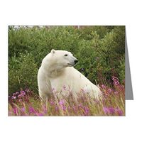 Note Card Polar Bear on Canadian Tundra