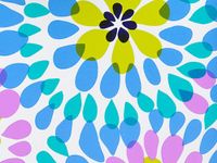 MAKE A SPLASH 24"x833'Gift Wrap Full Ream Roll (1 unit, 1 pack per unit.)