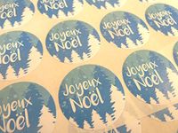 Pack of 30 Joyeuses Fêtes Joyeux Noël French Christmas Greeting Stickers, Colourful Self-Stick Labels for Cards, Envelopes, Craft, Decoration