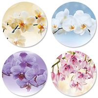 Orchid Seals