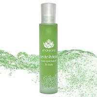 Shankara Muscle Release Oil, Natural Pain Management with Essential Oils, Treat Arthritis and Chronic Pain with Arnica, Boswelia & Sweet Birch, 100ml
