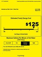 Eccotemp ET-32 Residential Electric Tankless Water Heater