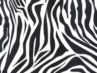 Zebra Design Print Gift Grade Tissue Paper Sheets - 15" x 20" Package Amount (144)