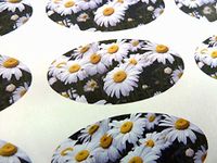 Pack of 48 Daisy Flowers Seals , 40x20mm Oval Seal Labels, Stickers for Gift Wrapping, Presents, Envelopes, Bags or Cards