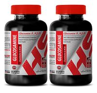 Joint Health Supplements for Men - GLUCOSAMINE CHONDROITIN and MSM Complex - Wellness Formula Capsules - 2 Bottles 120 Capsules