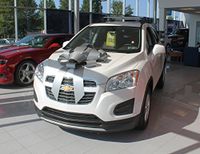 30" Magnetic Car Bows - Silver