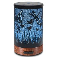 Metal Aromatherapy Ultrasonic Cool Mist Aroma Essential Oil Diffuser, Whisper Quiet Humidifier, Waterless Auto Shut-Off, 7-Color Changed LED for Home Office Yoga SPA 100ml (Floral Scent))