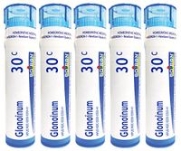 Boiron Glonoinum 30C, Homeopathic Medicine for Hot Flash, Sunstroke and Headache (Pack of 5)
