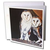 BARN OWLS - Greeting Cards, 6 x 6 inches, set of 12 (gc_3210_2)