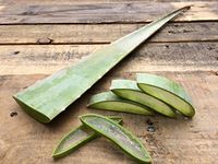 Fairview Orchards 100% Certified Organic Fresh Aloe Vera Leaf