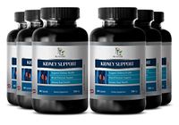 Bladder Control - Kidney Support Complex - Horsetail Extract - 6 Bottles 360 Capsules