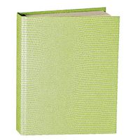 Caspari Lizard Mini Writing Journal in Green