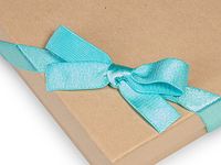 Pack Of 50, 8" Aqua Satin Stretch Wide Loops W/Pre-Tied Bows For Jewelry Boxes