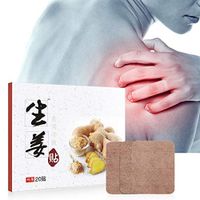 20 Pieces Ginger Pads Joint Cervical Vertebra Pain Relief Spontaneous Heat Sticker Cold Protection Keep Warm