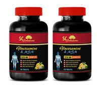 Bone Health Supplements Men - GLUCOSAMINE & MSM 3232MG Complex - Wellness Formula Tablets - 2 Bottles 120 Capsules