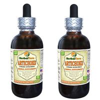 Artichoke (Cynara scolymus) Tincture, Organic Dried Leaf Liquid Extract (Brand Name: HerbalTerra, Proudly Made in USA) 2x2 fl.oz (2x60 ml)