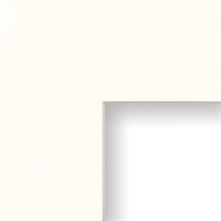 Craig Frames B402 14x18-Inch Mat, Single Opening for 10x13-Inch Image, White with Cream Core