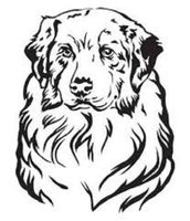 HotSaleStore Sticker Seals 48 Australian Shepherd Sticker Label Envelope Seals 1.2" Round