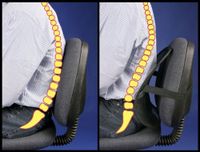 Angel Sales Set of 2 PosturePro Lumbar Support