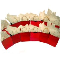 Red Foil Cube Gift Bags Pkg/12