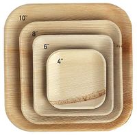 Purestead: Premium Quality Biodegradable Compostable Areca Palm Leaf Square Plate| Eco Friendly Bio Disposable Plates for Wedding Home Party Catering Serving| Natural Biodegradable- 25 Pack (8 Inch)