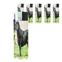 Dog Labrador Retriever Lighter Set of 5 Pieces