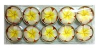 Candle Aromatherapy for Spa Candles Relaxation and Stress Reduction - Apply for Tealight Candles Attable Decorations Home (Made By Artisan)
