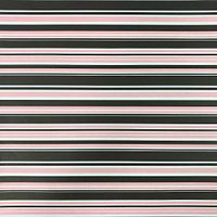 Black Cat Avenue 20" x 30" Printed Tissue Paper for Gift Wrapping, 20-Sheet, Neapolitan Stripes