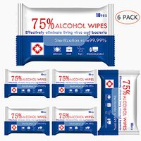 Wet Wipes Travel Size Wipes Bulk 6 Pack for Hand Home House, Tourism, Hotel, Restaurant, Office