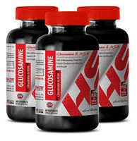 antiaging Products - GLUCOSAMINE CHONDROITIN and MSM Complex - glucosamine msm - 3 Bottles 180 Capsules
