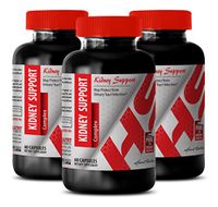 Nettle Leaf Bulk - Kidney Support Complex 700 MG - Increase in Energy Levels (3 Bottles)