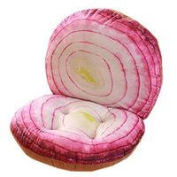 Kylin Express Indoor Soft Home/Office Squared Cartoon Seat Breathable Chair Cushion with Backrest, Onion
