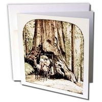 3dRose Vintage Wawona Tree in Yosemite Faded - Greeting Cards, 6 x 6 inches, set of 12 (gc_8513_2)