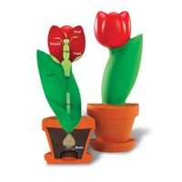 Learning Resources Cross-Section Flower Model, Classroom Foam Demonstration Model, Teaching Aids, 2 Piece Model, Grades 2+, Ages 7+