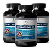 Eyesight Supplements - ECHINACEA and GOLDENSEAL Root - Goldenseal echinacea - 3 Bottles 300 Capsules