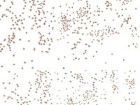 Pack Of 100, 5 X 3 X 11" Gold Sprinkles Classic Print Cello Bags 1.2 Mil 5 Cups Made In USA