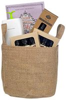 Fabulous Frannie Aromatherapy Starter Gift Basket includes 6 10ml Pure Essential Oils, Essential Oil Guide Book, Nebulizing Aromatherapy Diffuser, and Car Scenter Electric Diffuser w/3 Refills.