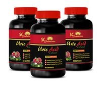 Brain and Memory Support - URIC Acid EXTRACTS 1430 MG - Green Tea Energy - 3 Bottles (180 Capsules)