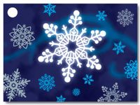 Winter Wonderland Theme Gift Cards3-3/4x2-3/4" (30 unit, 6 pack per unit.)