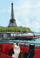 Cat Greeting Cards, Paris Seine, Savings 5-pack, Handmade 5 X 7 Inch, Blank Inside, By Deborah Julian Art
