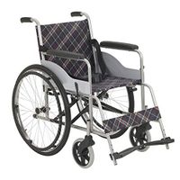 FLYSXP Multifunctional Wheelchair Folding Portable Spray Elderly Scooter Wheelchair Wheelchair
