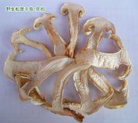 Dried matsutake slices 735 gram