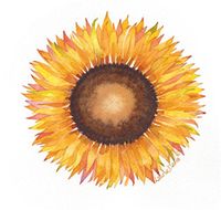 Flower Series - Set of 5 Watercolor Flower Note Cards 4.25" X 5.5" with Envelopes