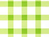 All Occasion Cello Gift Wrap - 30" x 100' - Spring Green Gingham