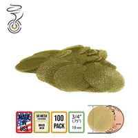 3/4 Inch Brass Pipe Screens | Made in The USA Pipe Screen Filters - 100 Pack