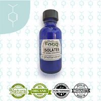 FOGG ISOLATES Alpha Phellandrene (30ml)