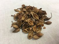 连翘 / 老翘 | Mature Forsythiae